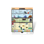GemKids Poster (Pack of 10)