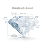 4Cs Scales & Diagrams