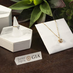 Diamond Origin plate on counter next to necklace, ring display, and succulents