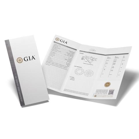 GIA report cover and opened report with silver accents