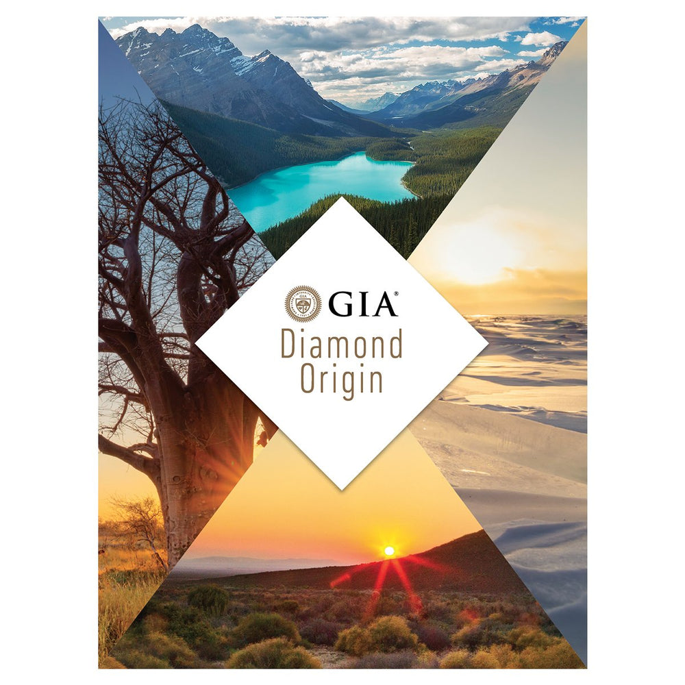 Diamond Origin Folder (Pack of 25)