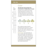 Brochure page with heading "Color", text, diamonds of various shades of yellow, and color scale